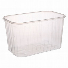 Container for berries 1000gr 192*118*110mm transparent PP