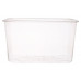 Container for berries 1000gr 197*114*110mm transparent PP