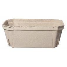 Container for berries 500g, 185x108x68mm, cellulose pulp