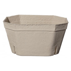 Container for berries 1000g,200x138x108mm, cellulose pulp